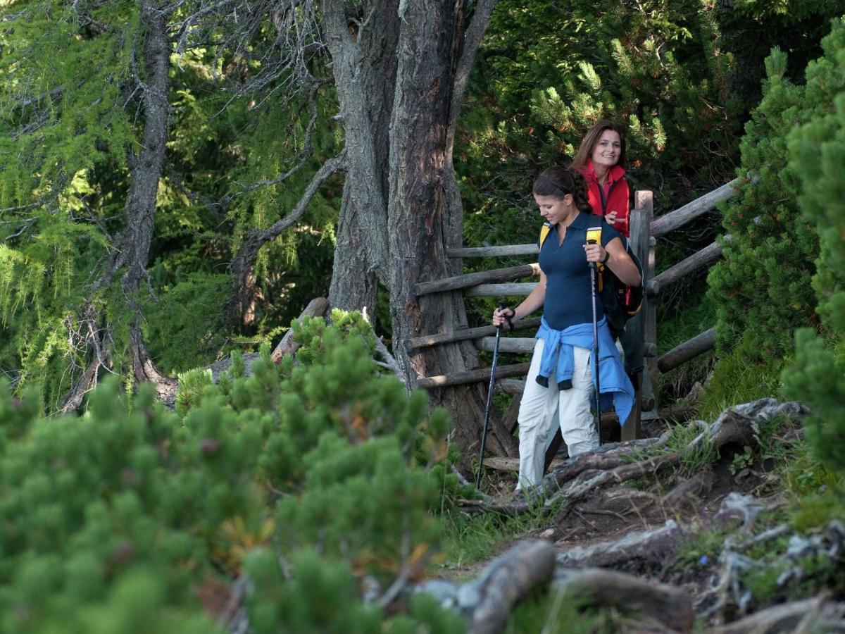 Quiet Holiday Home Near Ski Resort Neuhaus  ภายนอก รูปภาพ